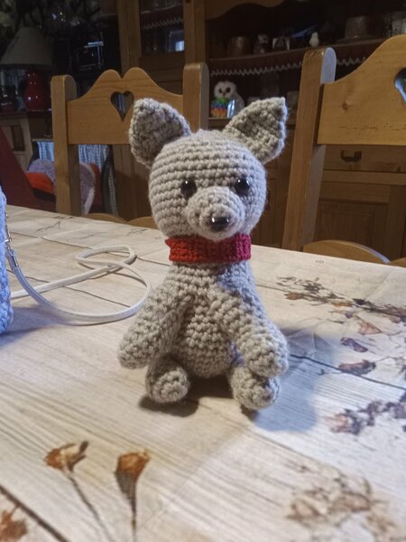 tombola noel cani seniors 2025 006.jpg