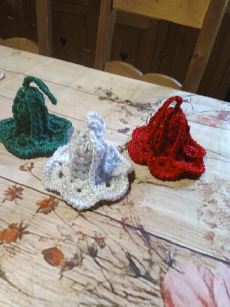 tombola noel cani seniors 2025 007.jpg