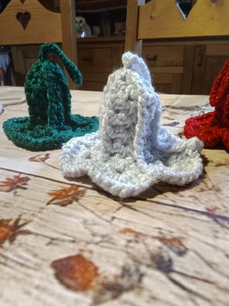 tombola noel cani seniors 2025 008.jpg