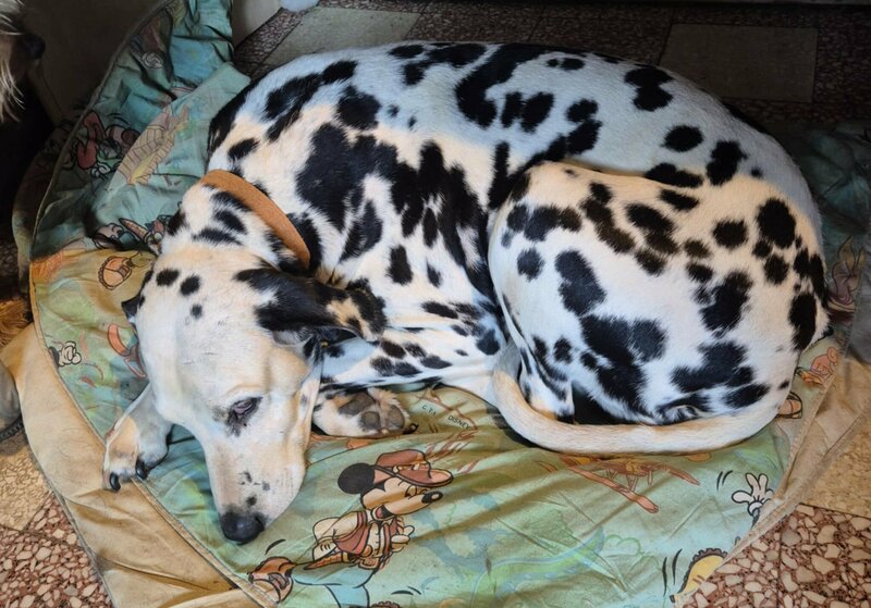 ff1a930a-c7a8-46a8-85bd-1e2814b00598.jpeg 1.jpeg