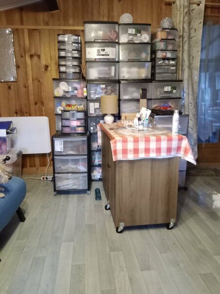 l ' atelier et les loulous 007.jpg