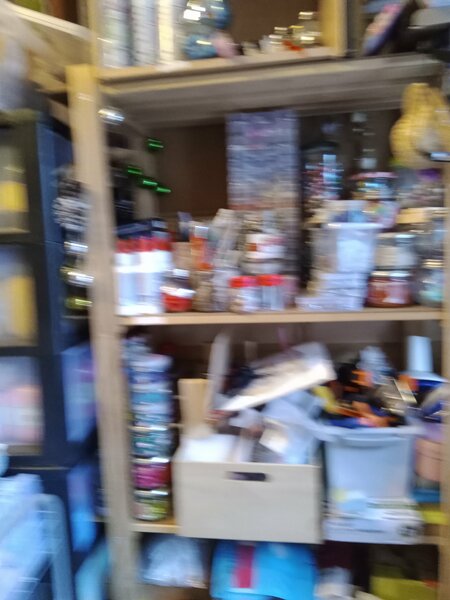 l ' atelier et les loulous 012.jpg