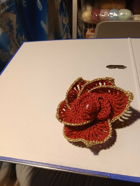 travaux manuels 2026 009.jpg