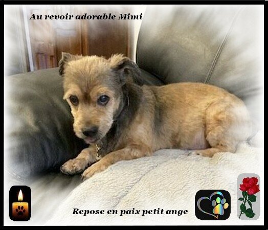 mimi dcd 4 floflo.jpg